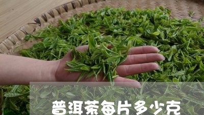 普洱茶每片多少克/2023041059384