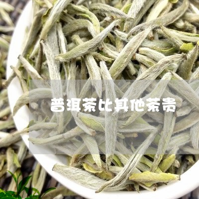 普洱茶比其他茶贵/2023041103759