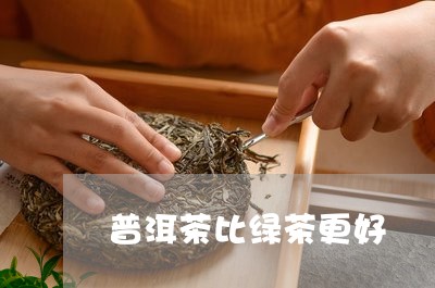 普洱茶比绿茶更好/2023041019695