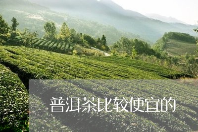 普洱茶比较便宜的/2023041182949