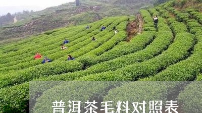 普洱茶毛料对照表/2023040181736