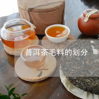 普洱茶毛料的划分/2023041052916