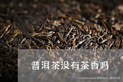 普洱茶没有茶香吗/2023041132727