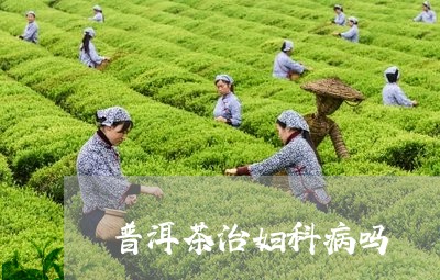 普洱茶治妇科病吗/2023033137269