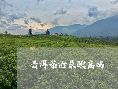 普洱茶治尿酸高吗/2023033108372