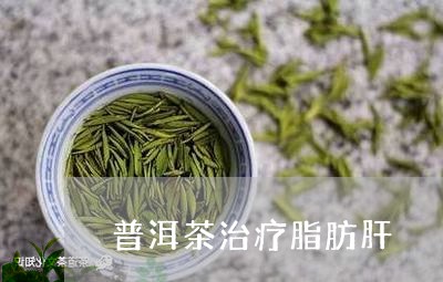 普洱茶治疗脂肪肝/2023041373925