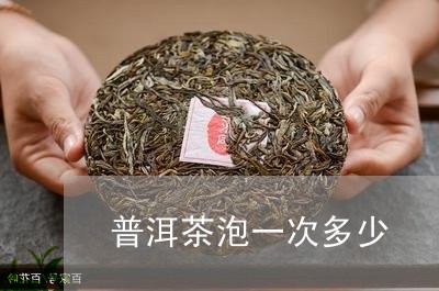 普洱茶泡一次多少/2023040192917