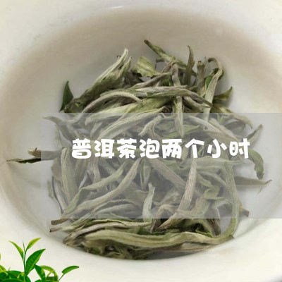 普洱茶泡两个小时/2023033175178