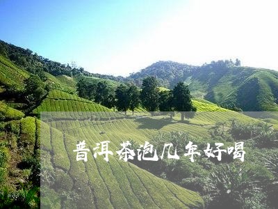 普洱茶泡几年好喝/2023041007391