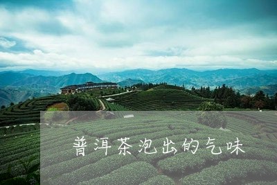 普洱茶泡出的气味/2023031749571