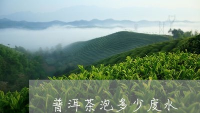 普洱茶泡多少度水/2023033143848