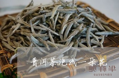 普洱茶泡成一朵花/2023033040626