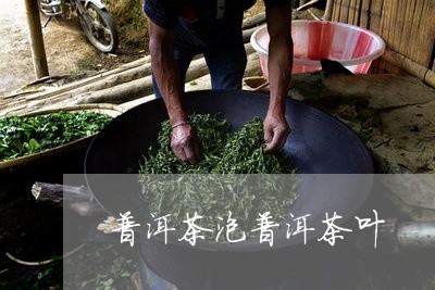 普洱茶泡普洱茶叶/2023031747162