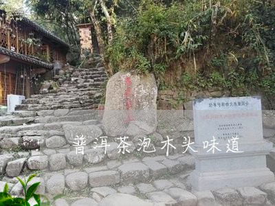 普洱茶泡木头味道/2023041087168