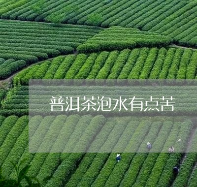 普洱茶泡水有点苦/2023040946160