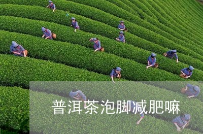 普洱茶泡脚减肥嘛/2023041472926