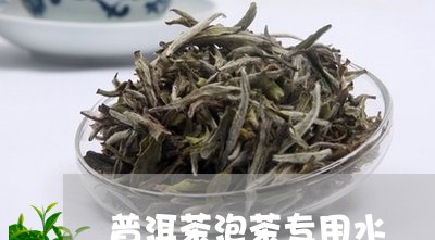 普洱茶泡茶专用水/2023041006151