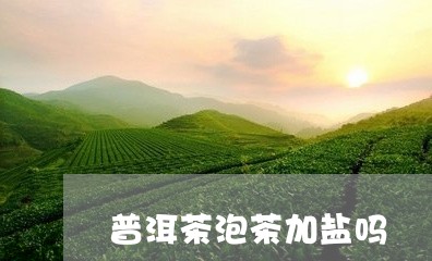 普洱茶泡茶加盐吗/2023040921602