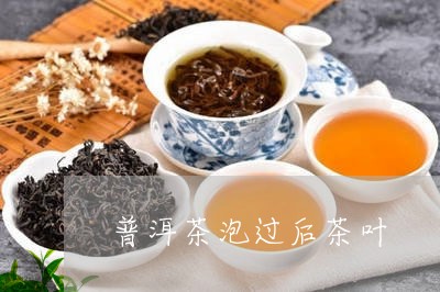 普洱茶泡过后茶叶/2023031672728