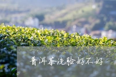 普洱茶洗脸好不好/2023033167593