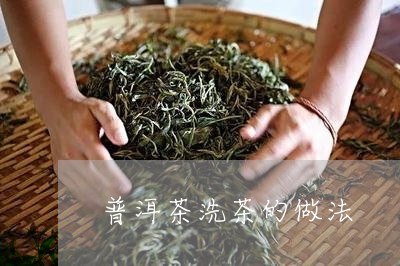 普洱茶洗茶的做法/2023041162909