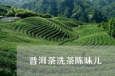 普洱茶洗茶陈味儿/2023041194158