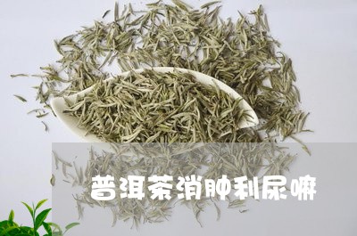 普洱茶消肿利尿嘛/2023041320281