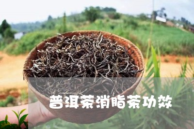 普洱茶消脂茶功效/2023041120515