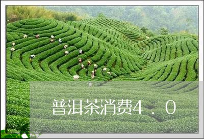 普洱茶消费4.0/2023041052726