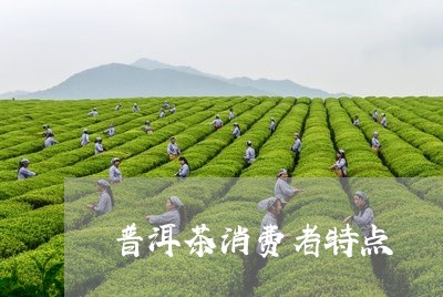 普洱茶消费者特点/2023041336269