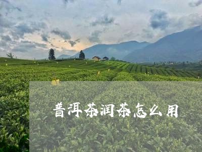 普洱茶润茶怎么用/2023031662847