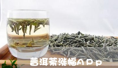 普洱茶涨幅APp/2023041085935