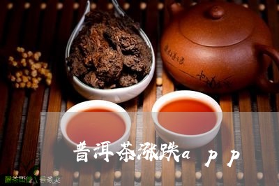 普洱茶涨跌app/2023041080614