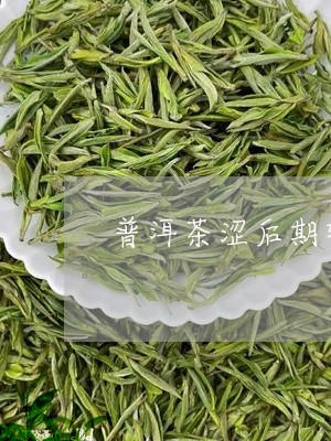 普洱茶涩后期转化/2023031792724