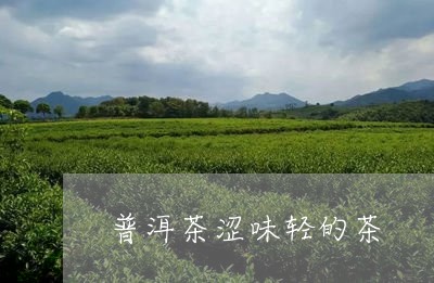 普洱茶涩味轻的茶/2023041143928