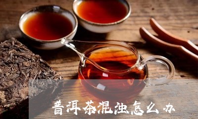 普洱茶混浊怎么办/2023040165826