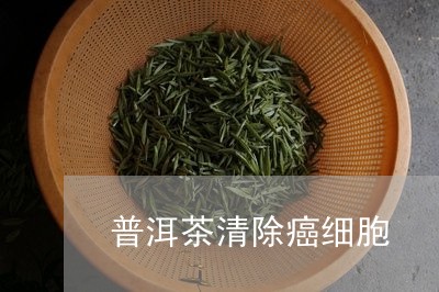 普洱茶清除癌细胞/2023040927150