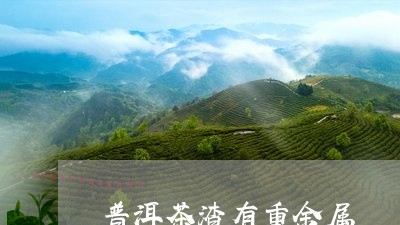 普洱茶渣有重金属/2023033053936