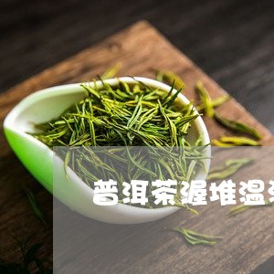 普洱茶渥堆温湿度/2023040107170