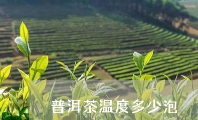 普洱茶温度多少泡/2023040917249