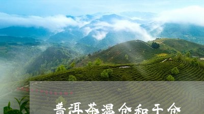 普洱茶湿仓和干仓/2023031707350