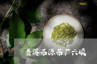 普洱茶源茶厂六顺/2023032976258