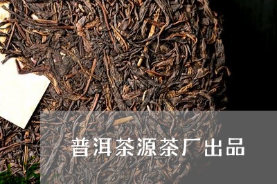 普洱茶源茶厂出品/2023040973949