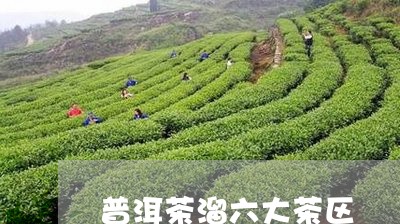 普洱茶溜六大茶区/2023033164837