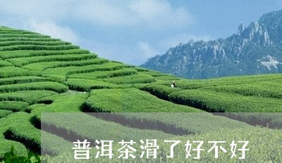 普洱茶滑了好不好/2023033191648