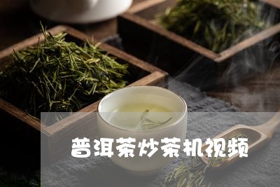 普洱茶炒茶机视频/2023033059714