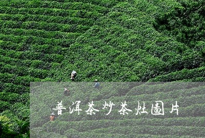 普洱茶炒茶灶图片/2023033011705