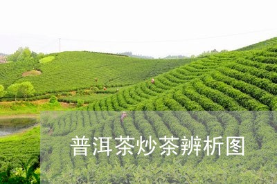 普洱茶炒茶辨析图/2023031781687