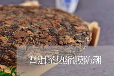 普洱茶热缩膜防潮/2023031640480