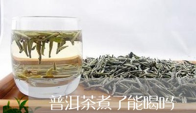 普洱茶煮了能喝吗/2023033166160